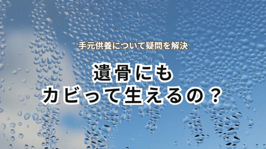 遺骨を保管する際のカビ対策|湿気をためない最適な骨壷もご紹介