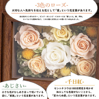 それぞれ、花言葉があります: