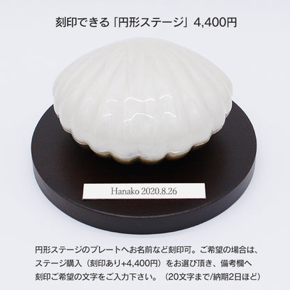 イメージ:パステルホワイト使用: