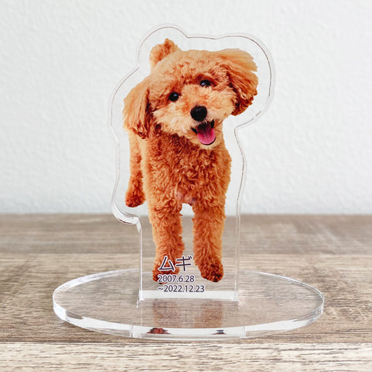 単品ペットアクリル位牌(名入れ無料)