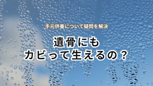 遺骨を保管する際のカビ対策｜湿気をためない最適な骨壷もご紹介