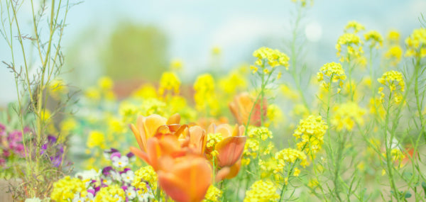 分骨の手続きについて～手元供養の知識