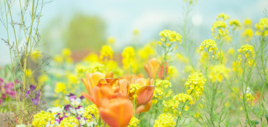 分骨の手続きについて～手元供養の知識