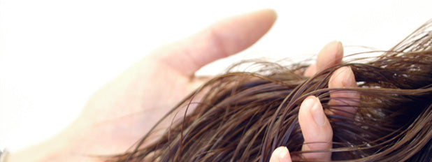 遺髪の保存方法