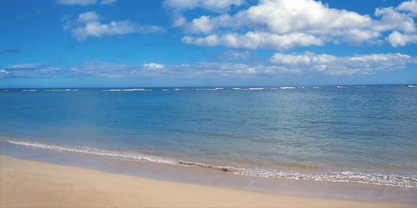 海で散骨する手順と散骨をする際に必要に手続きとは？