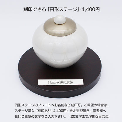 イメージ:パステルホワイト使用：