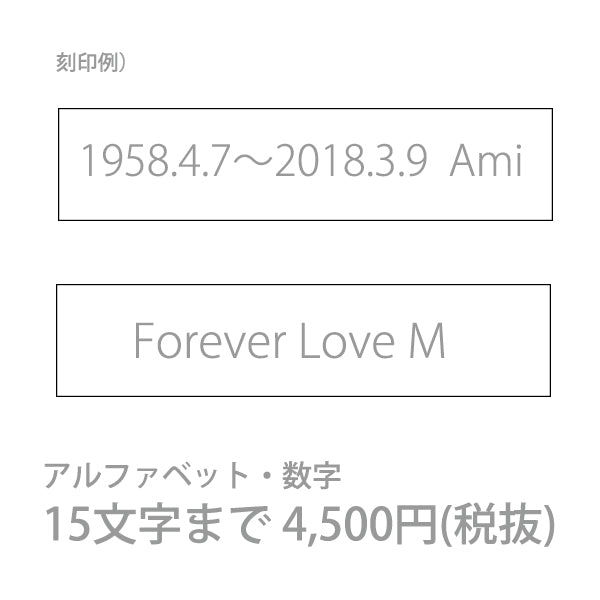 英数字15文字まで　4,950円(税込)：アルファベットと数字15文字まで(.)ドット、(-～)ハイフン、(/)スラッシュ、スペースは文字数に含まれません。