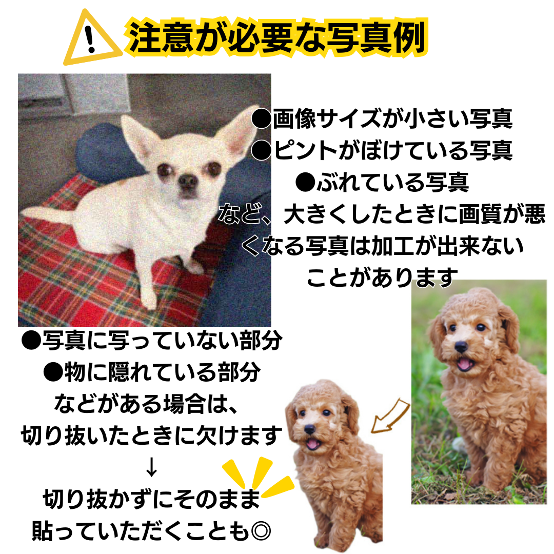 等身大遺影｜貼って剥がせる手元供養のための遺影