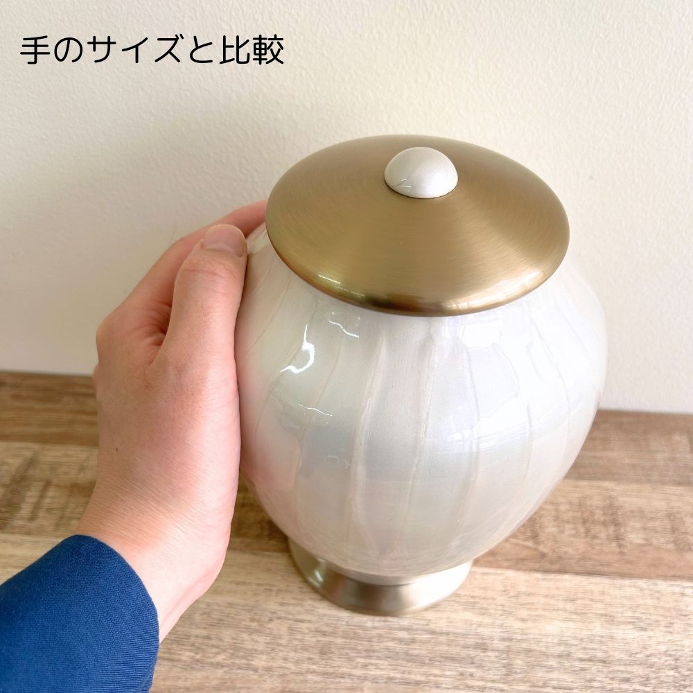 成人の手のサイズと比較