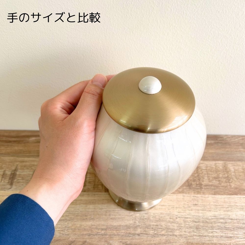 成人の手のサイズと比較