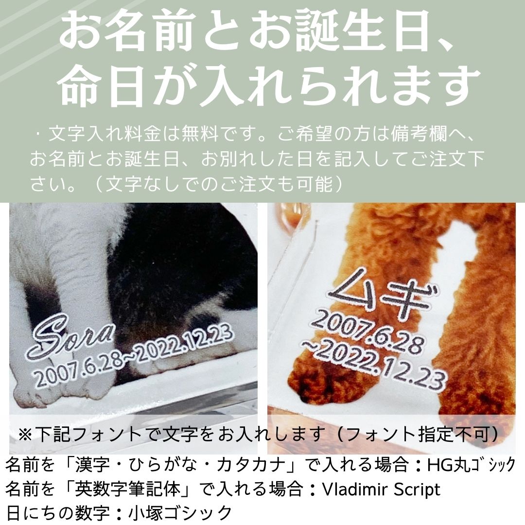 単品ペットアクリル位牌（名入れ無料）