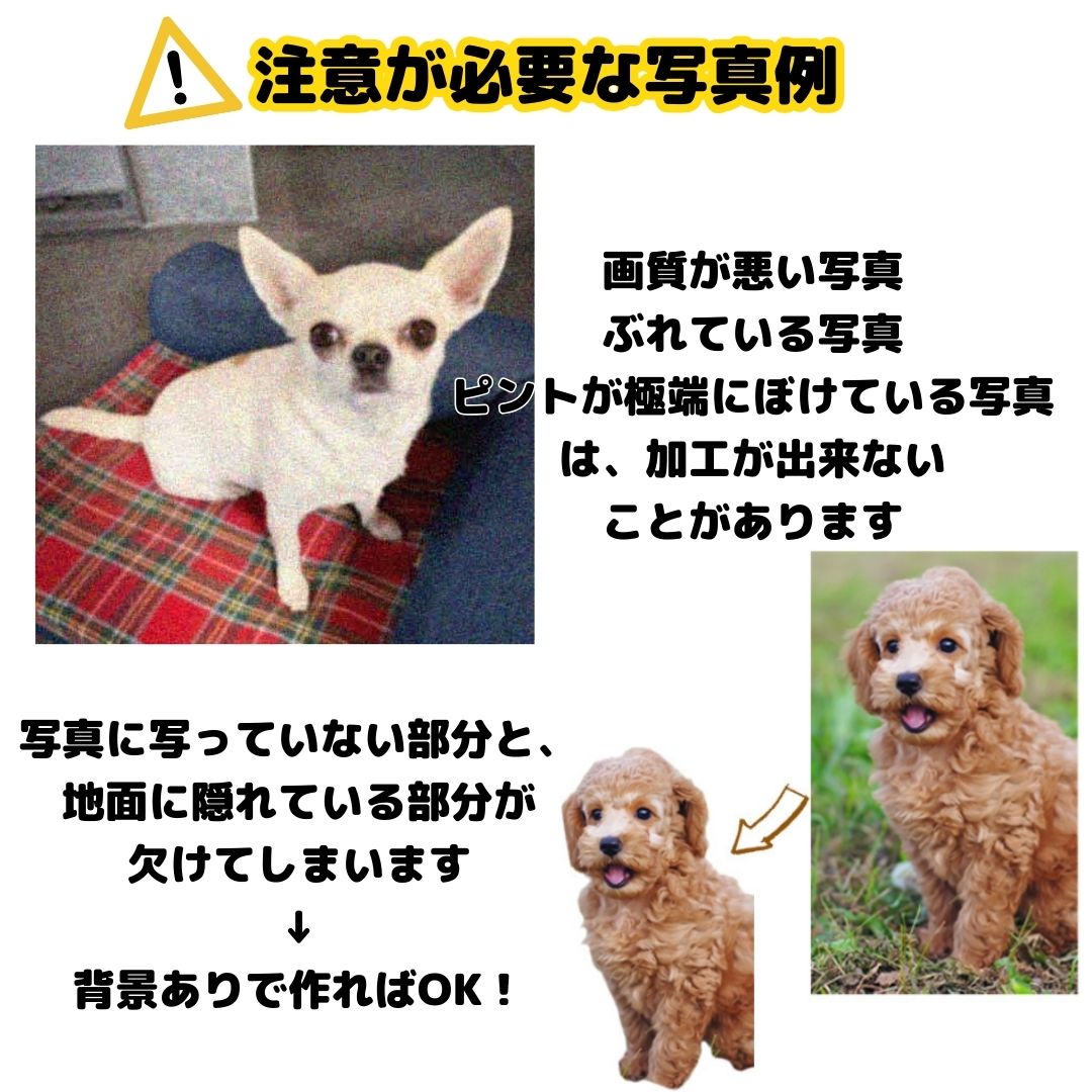 単品ペットアクリル位牌（名入れ無料）