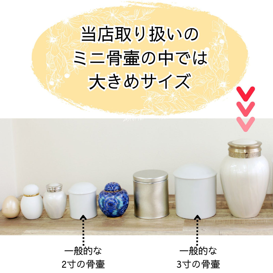 もっとたくさん残したい、という声にこたえるためにご用意いたしました。